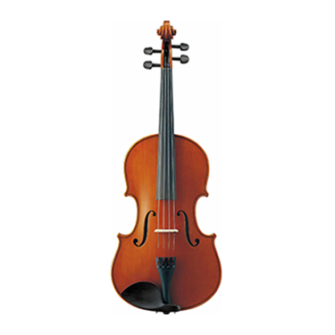 Viola
