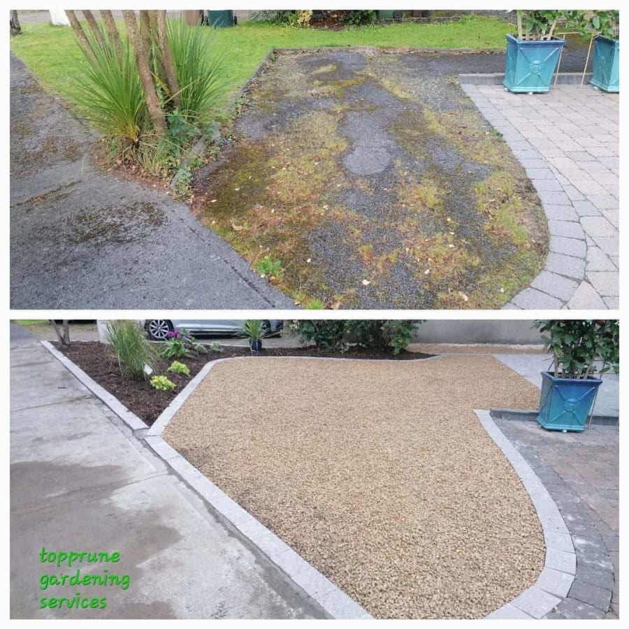 Gallery asset 15 of 66