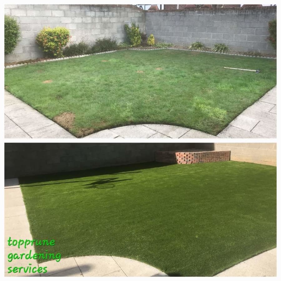 Gallery asset 43 of 66