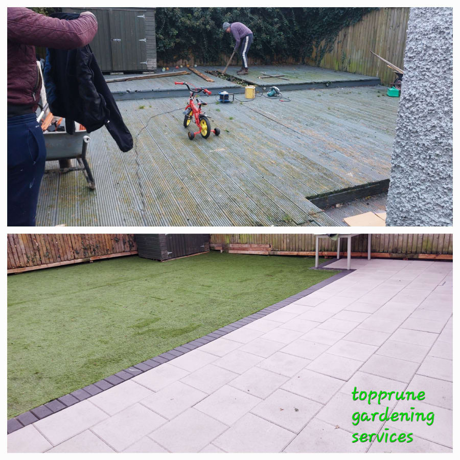 Gallery asset 54 of 66