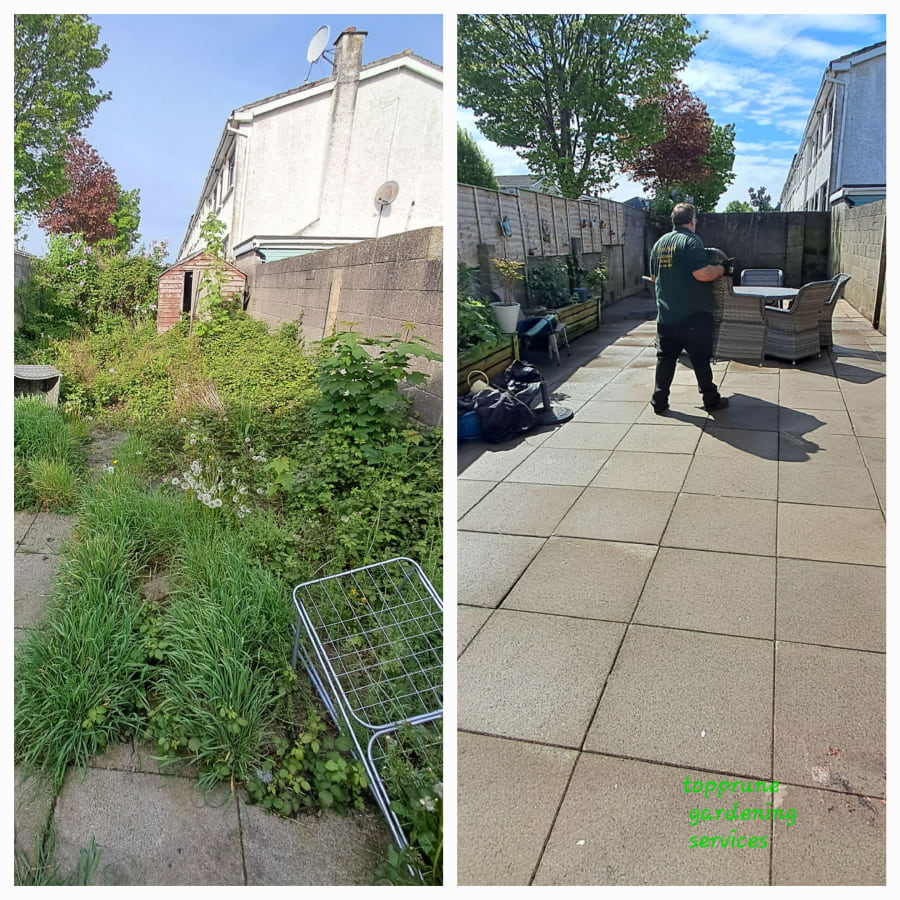 Gallery asset 66 of 66