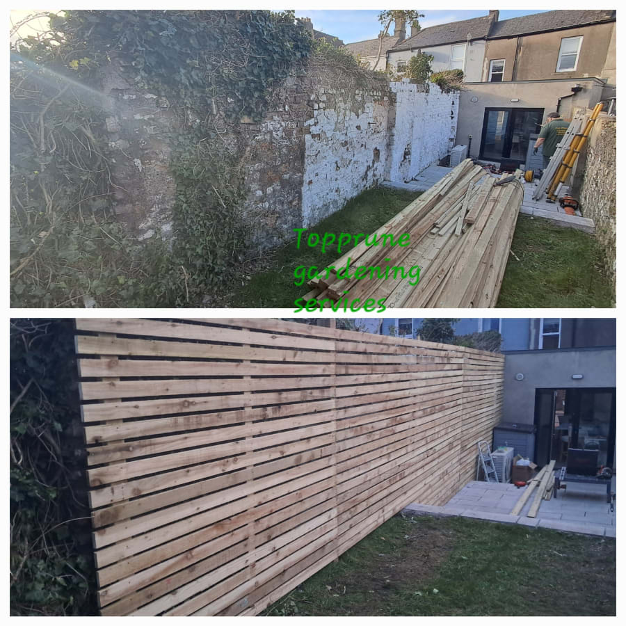 Gallery asset 24 of 66