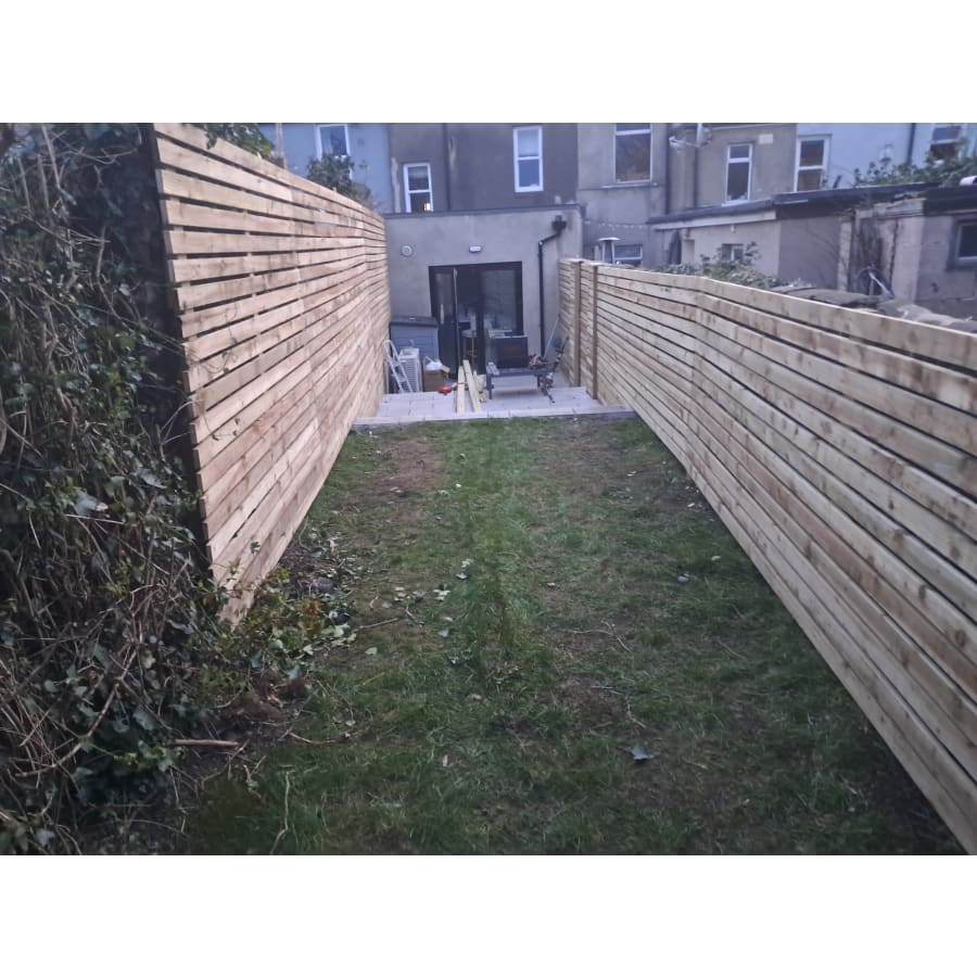 Gallery asset 51 of 66