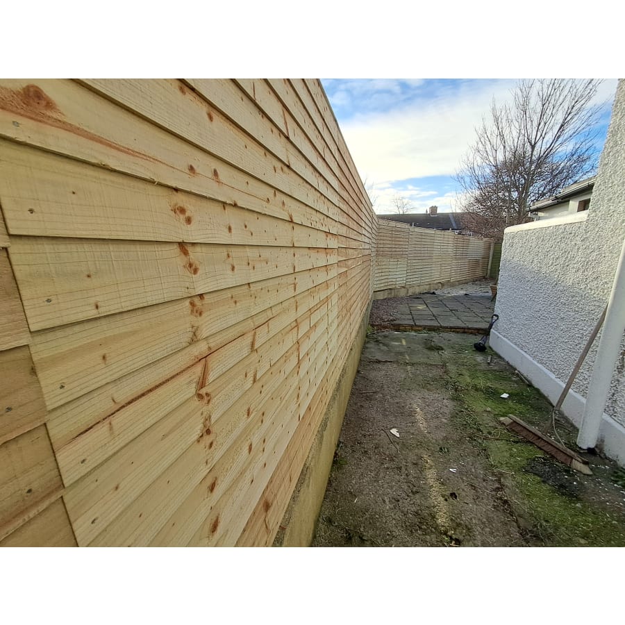 Gallery asset 57 of 66