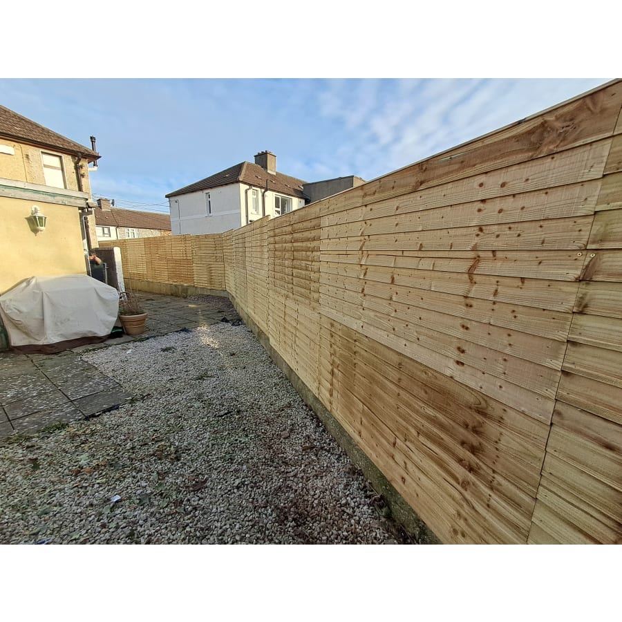 Gallery asset 7 of 66