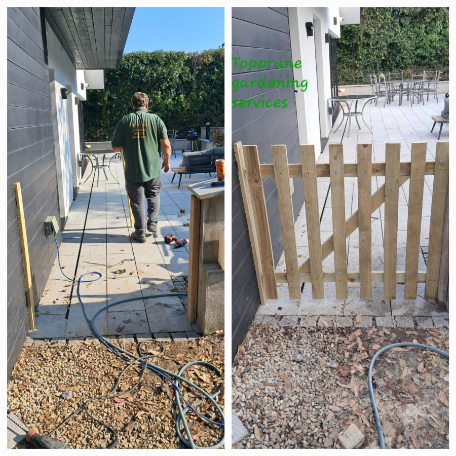 Gallery asset 30 of 66