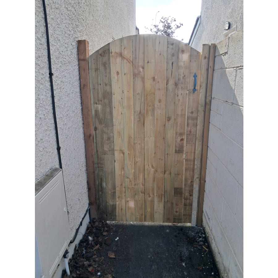 Gallery asset 36 of 66