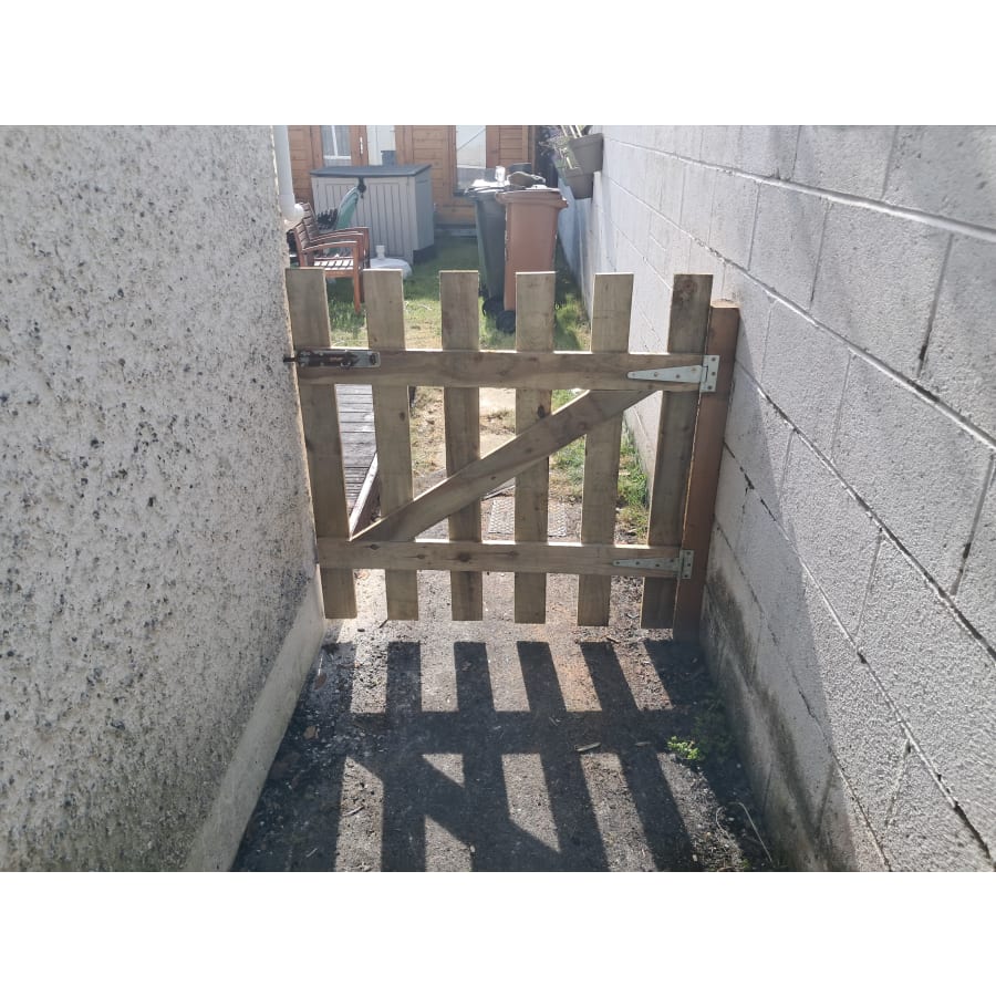 Gallery asset 60 of 66