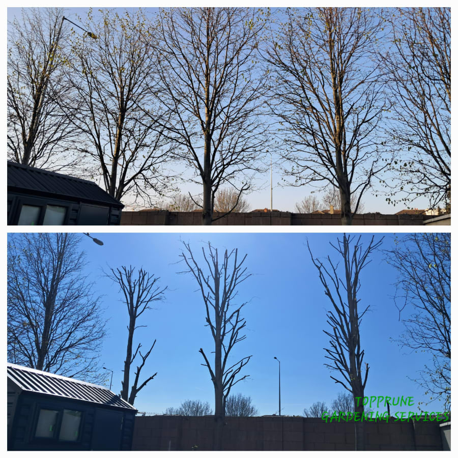 Gallery asset 40 of 66