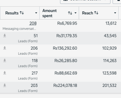 Real Estate Lead Campaign results