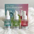 Anua Serum Discovery Trio Mini Set 1