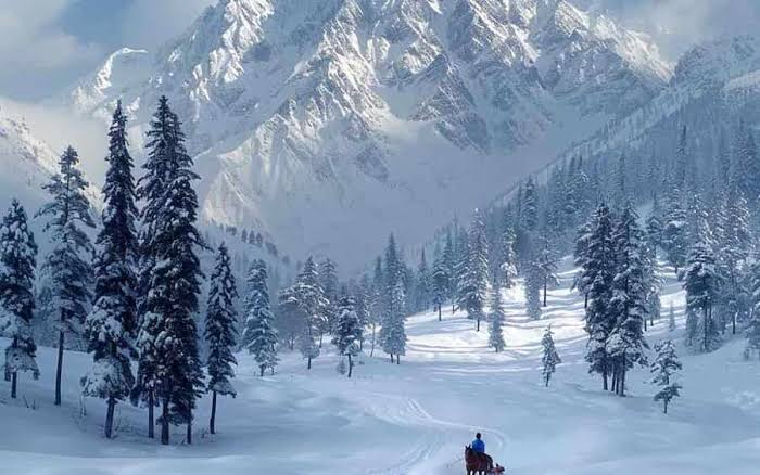 Snowshoeing Gulmarg: Unveil Winter's Quiet Magic Beyond Ski Slopes