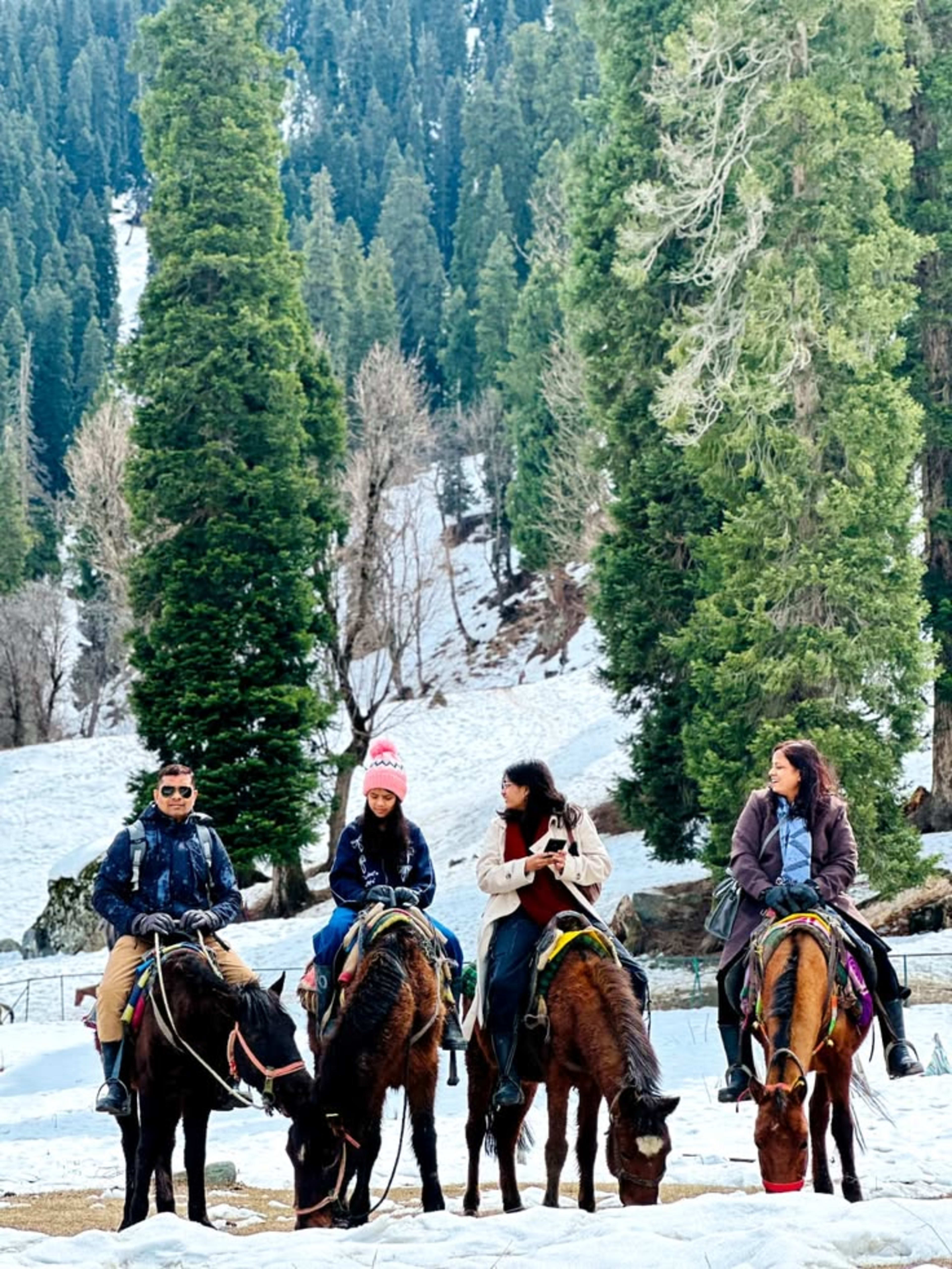 7 Days / 6 Nights Kashmir Tour Package - Photo 2