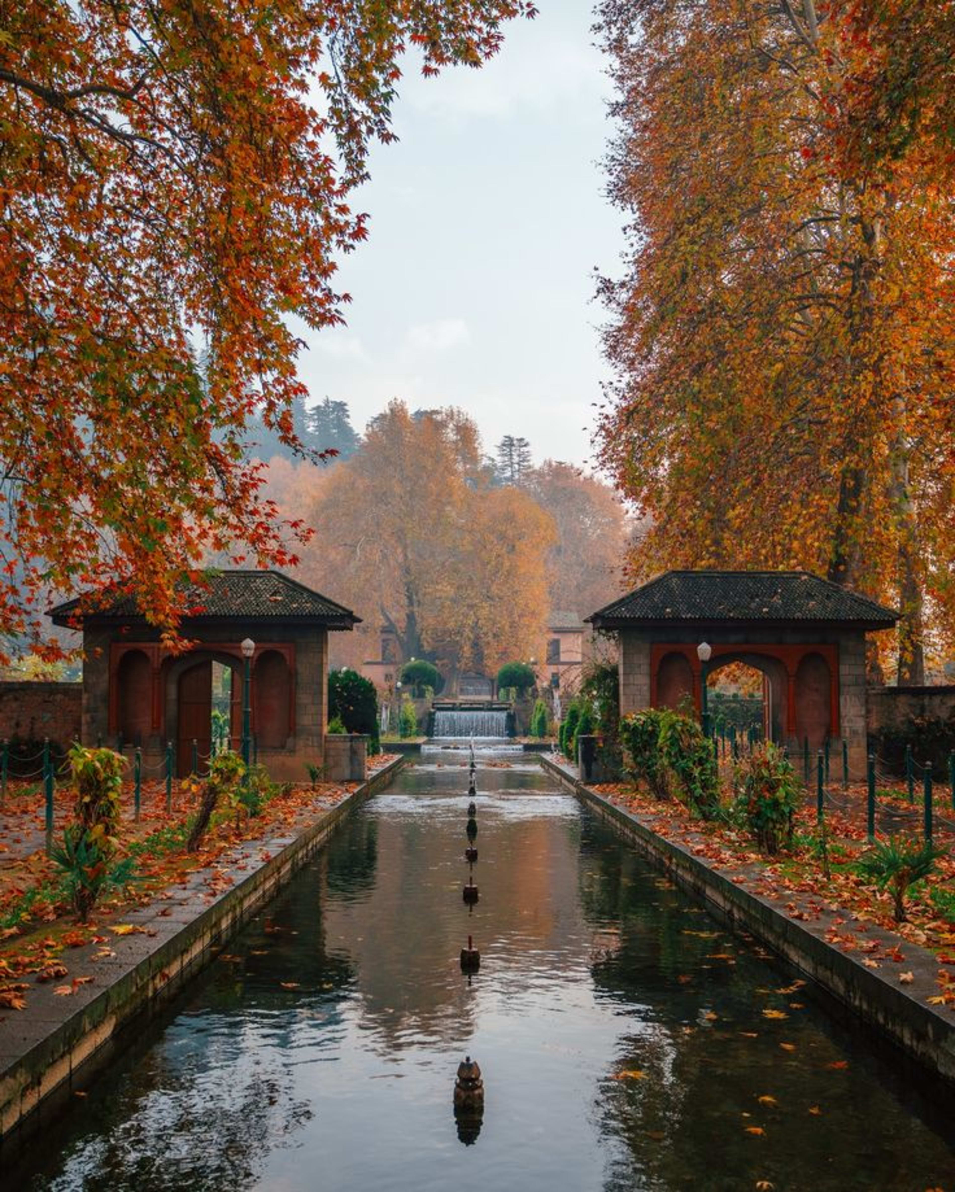 Nishat Bagh Srinagar – History, Terraces & Dal Lake Views