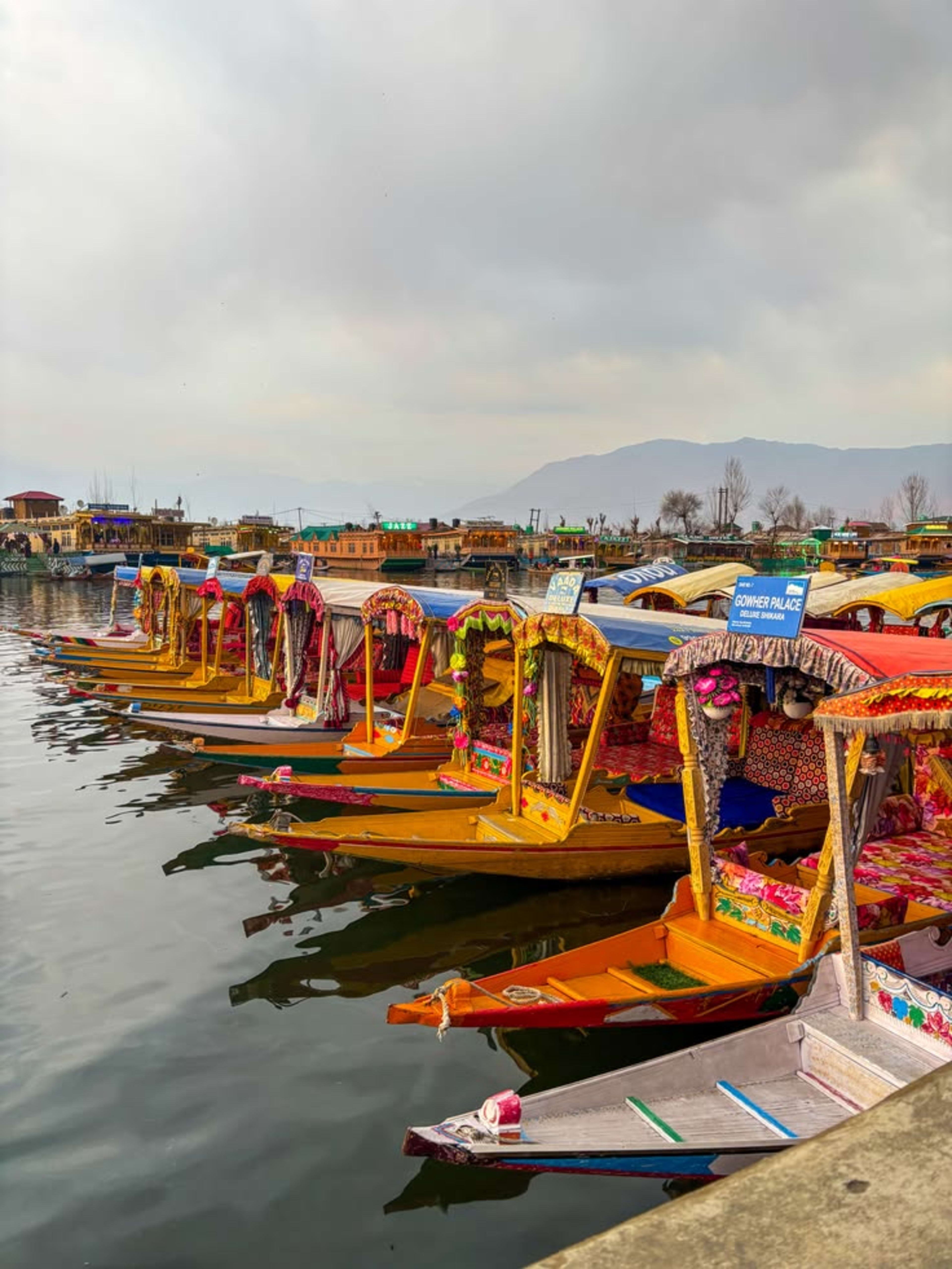 3 Days / 2 Nights Srinagar & Gulmarg Tour Package - Photo 2