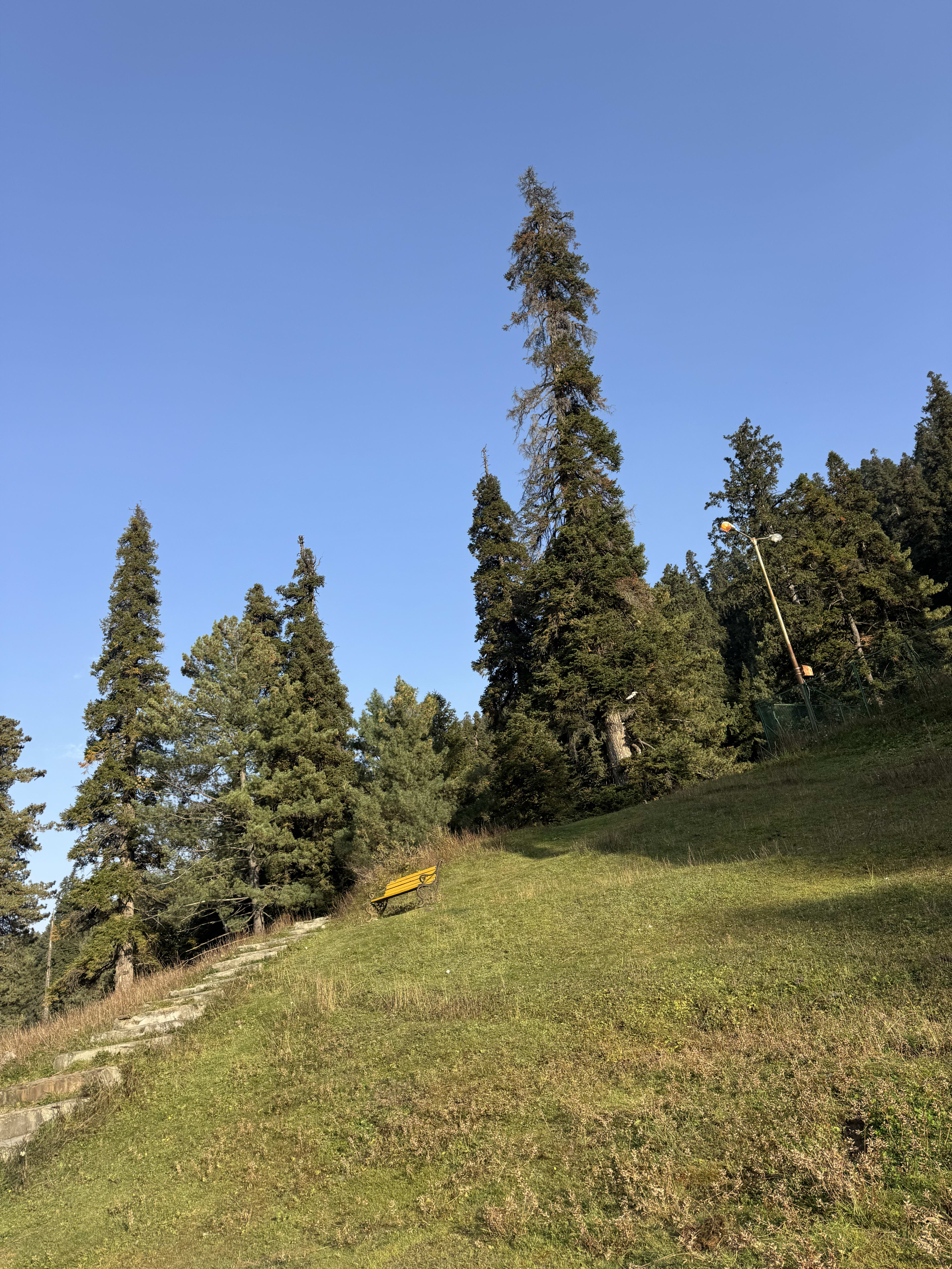 3 Days / 2 Nights Srinagar & Gulmarg Tour Package - Photo 3