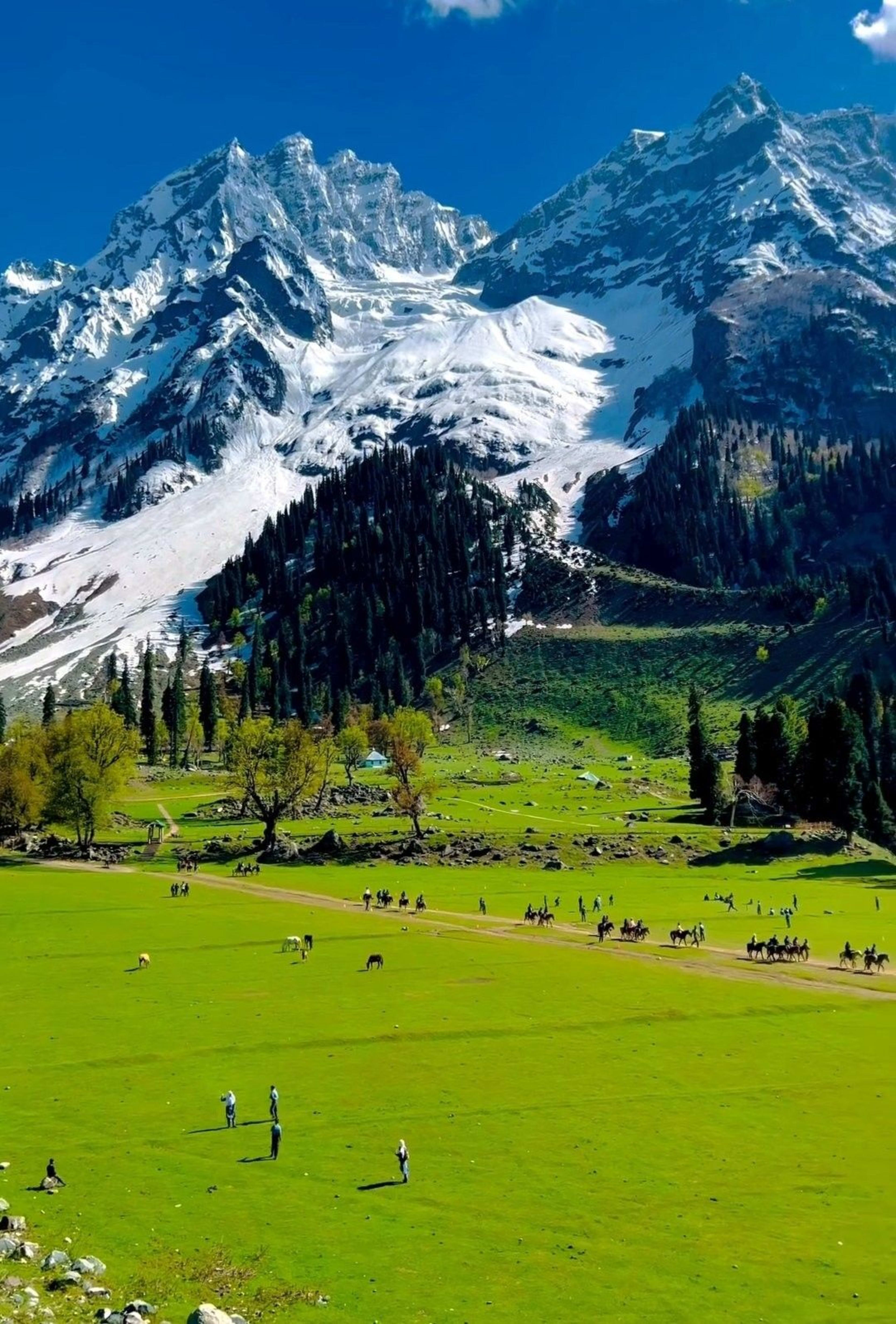 3 Days / 2 Nights Srinagar & Gulmarg Tour Package - Photo 5