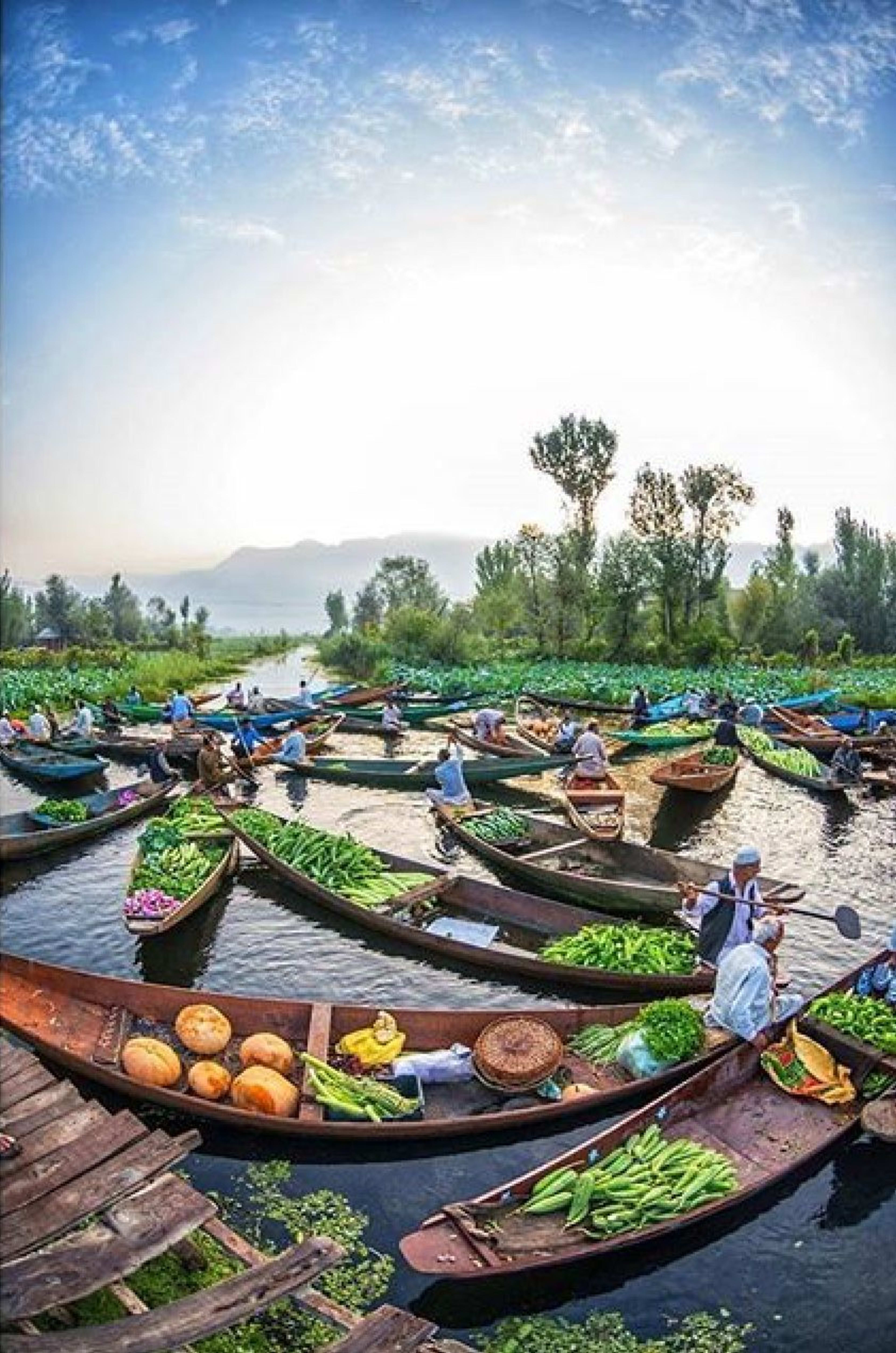 5 Days / 4 Nights Kashmir Tour Package