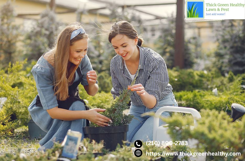 Mosquito Control And Yard Protection | Thickgreenhealthy.com