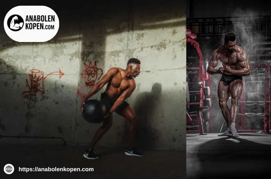 Anabole steroïden kopen | Anabolenkopen.com