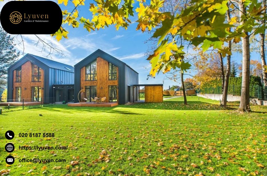 Top Quality Professional Hedge Cutting in Wimbledon for Neat Gardens