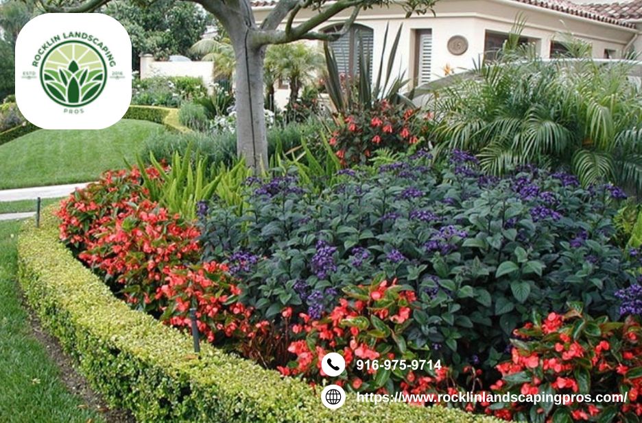 Landscapers Rocklin | Rocklinlandscapingpros.com