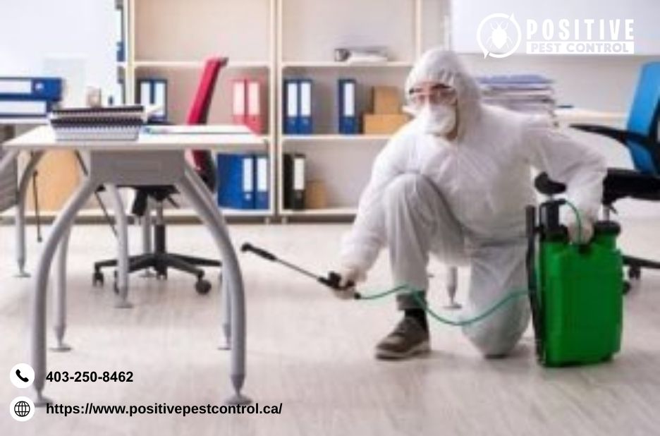 Pest Control Services Calgary | Positivepestcontrol.ca
