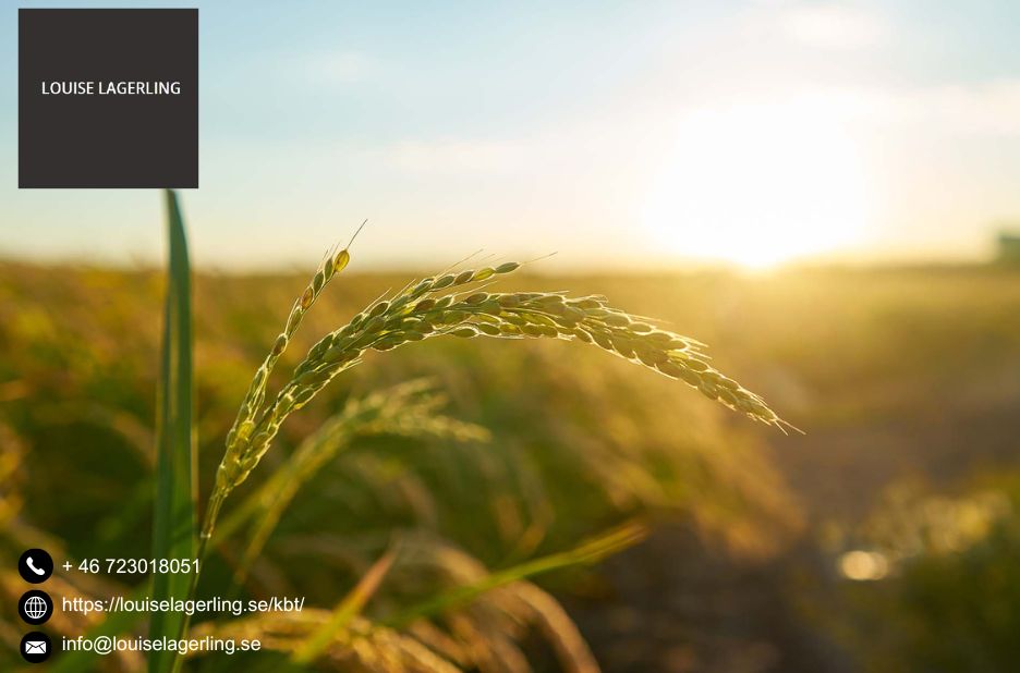 Bra psykolog i Stockholm – hitta lugn och stöd