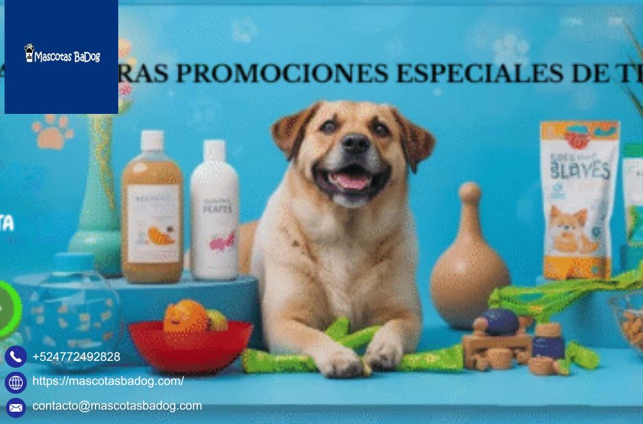 Tienda De Mascotas En León: Todo Para Tu Compañero