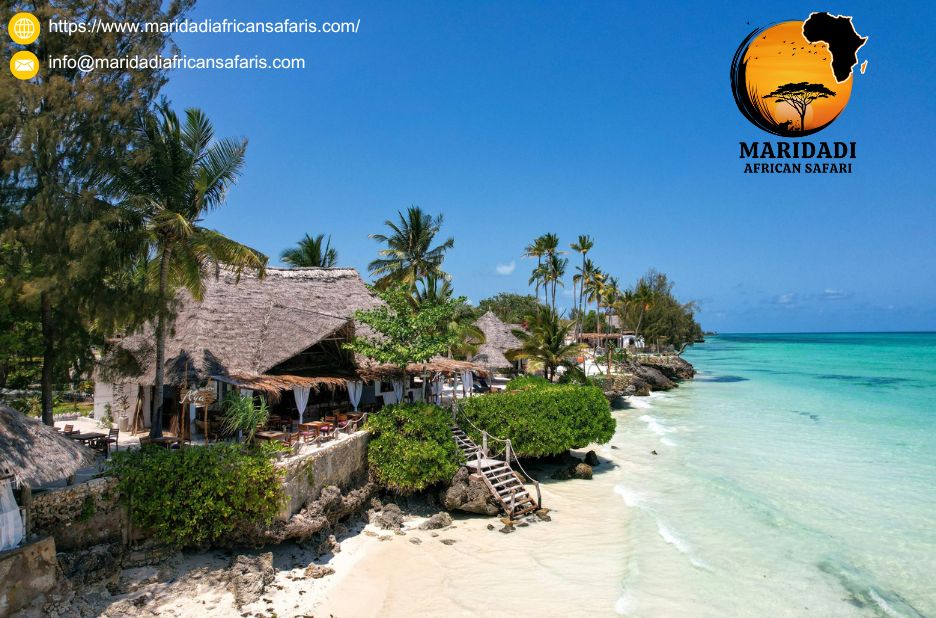 East Africa Safari Packages From USA | Adventures in Rwanda & Kenya