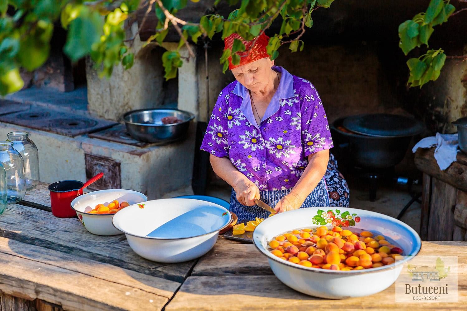 Best Wine Tours in Moldova Explore Vineyards and Cellars