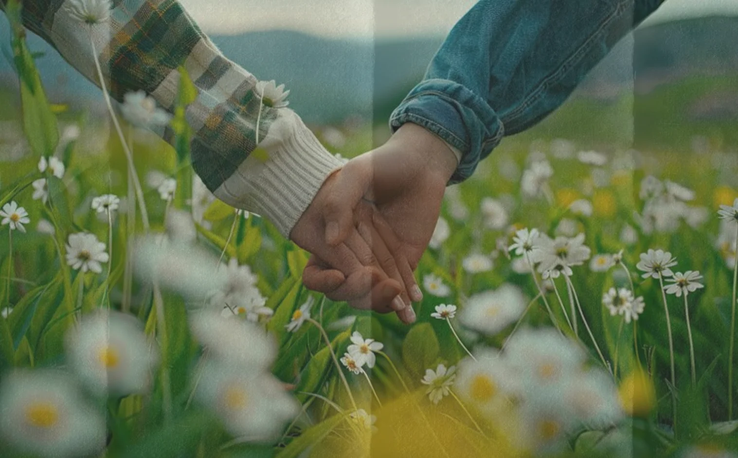 Chamo Doux Skin Cleanser for Gentle, Hydrating Daily Face Care