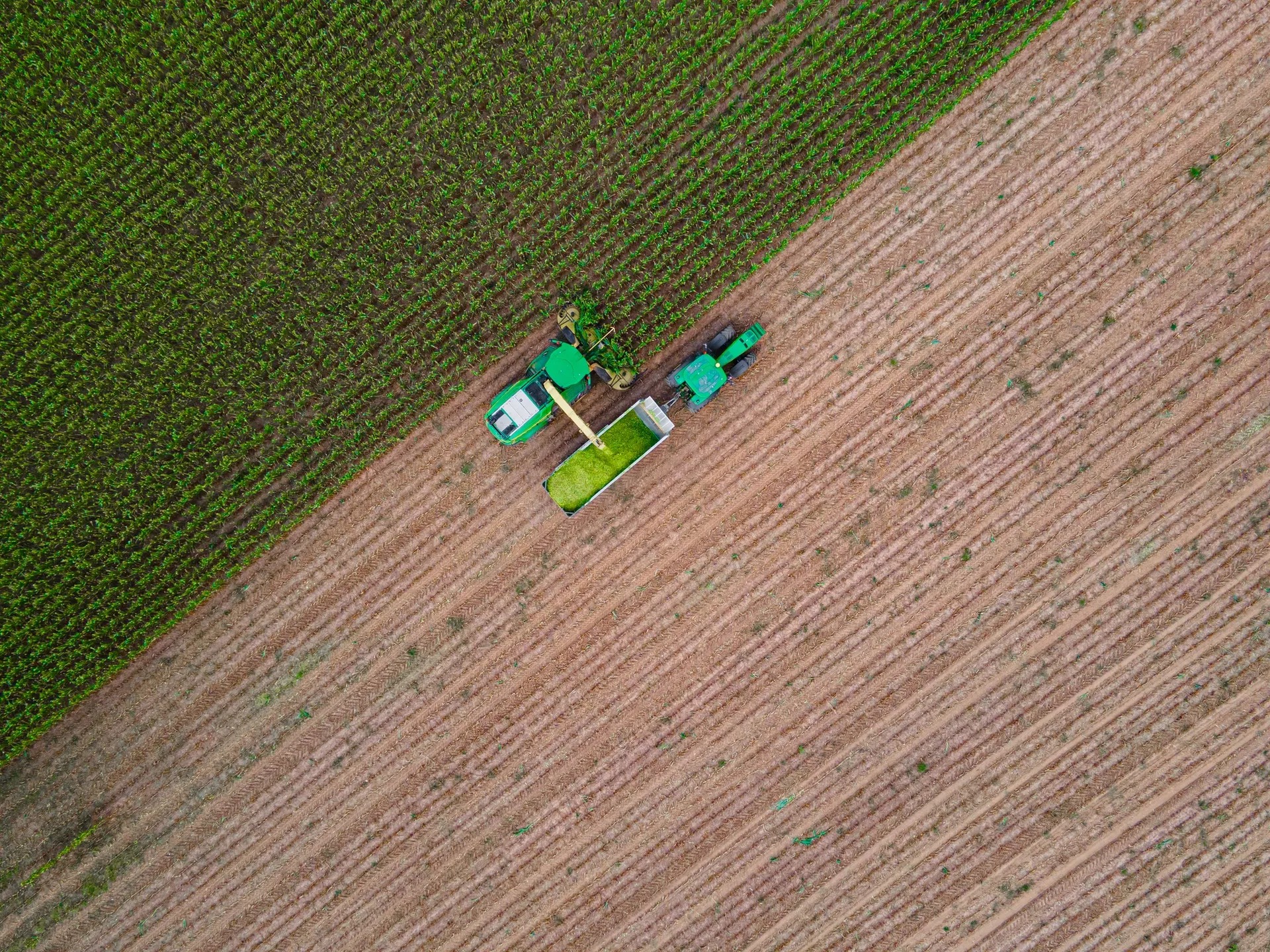 A Field of Possibilities: A Dusty Tale of Tough Tools