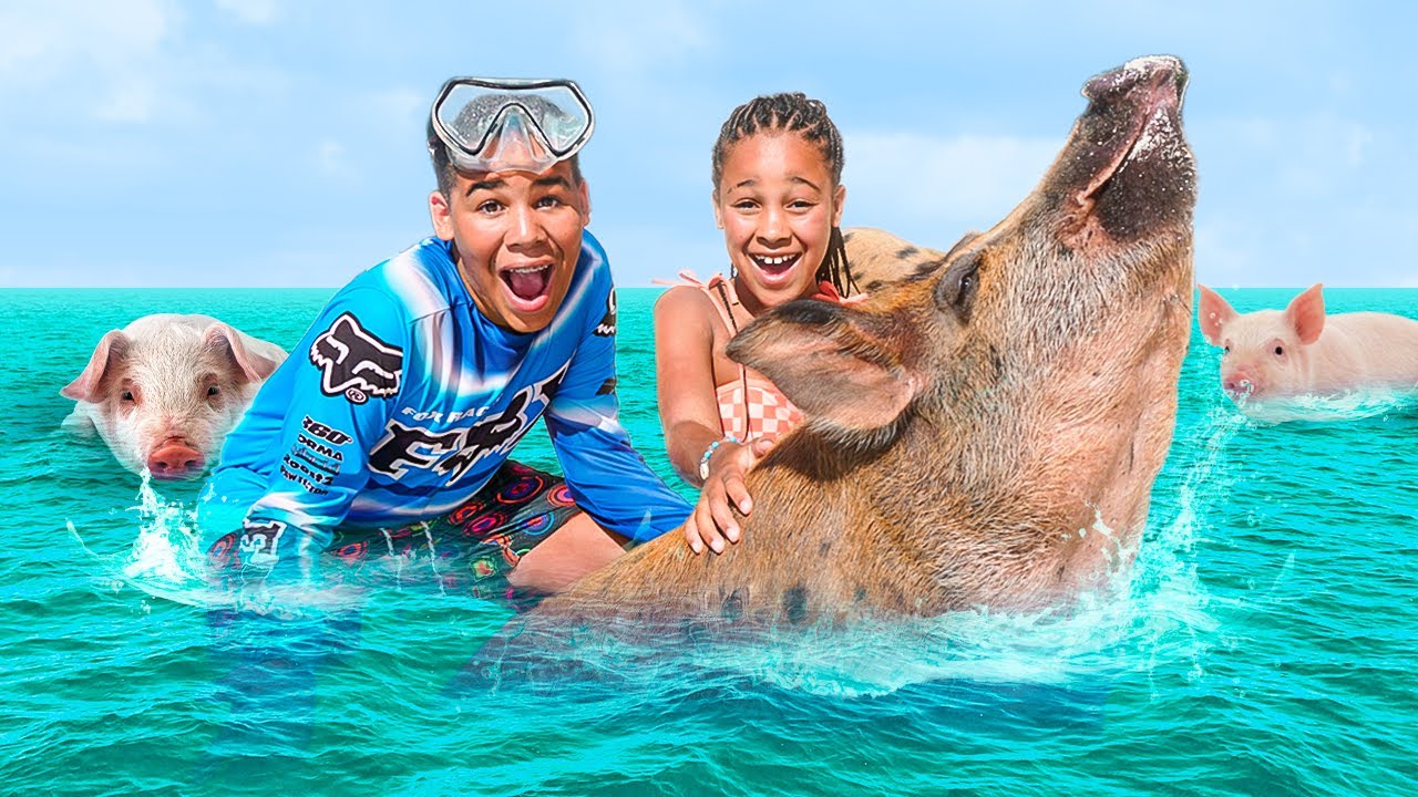 Pigs on Beach Bahamas: A Unique Bahama Beach Experience