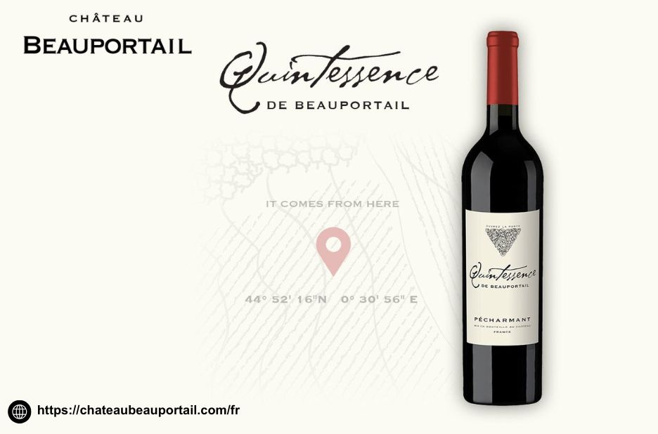 Vins rouges corsés à acheter : sélection d’experts