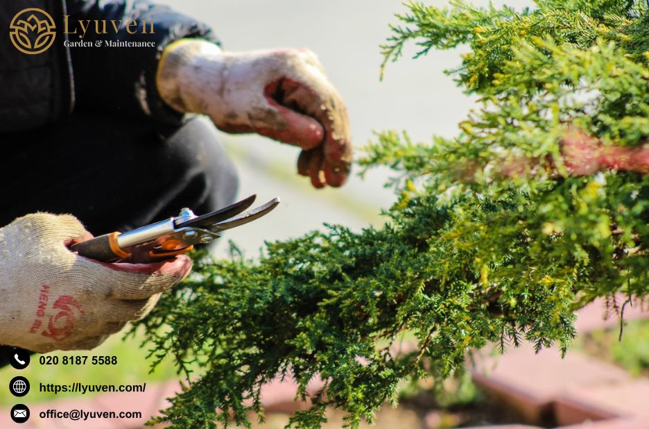 A Dream Garden Reimagined in Evening Light