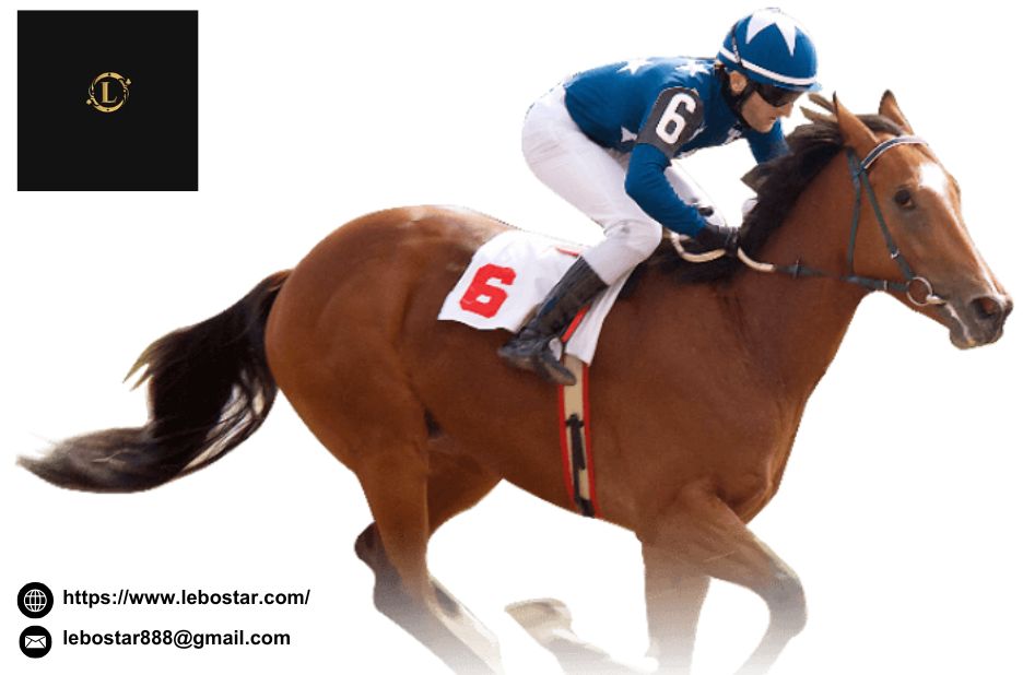 澳門線上老虎機遊戲｜樂博星娛樂城帶來多樣性選擇