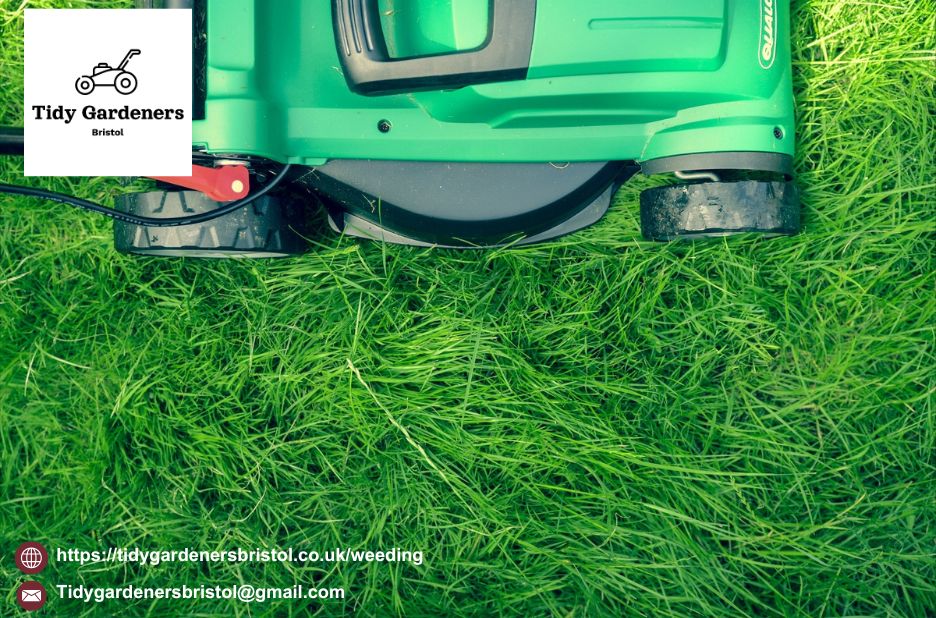 Weeding Landscaping Services – Tidy Gardeners Bristol