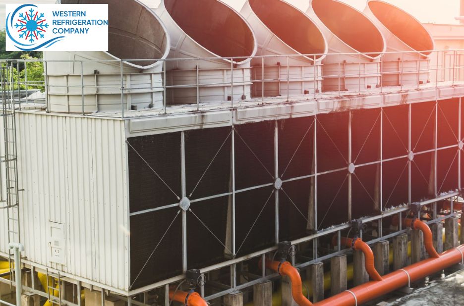 Bitzer Compressor Oil: Genuine Lubricants for Peak HVAC Performance