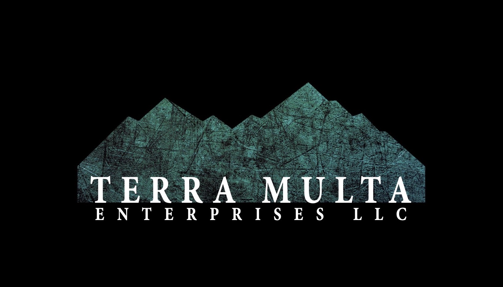 Terra Multa Enterprises Logo