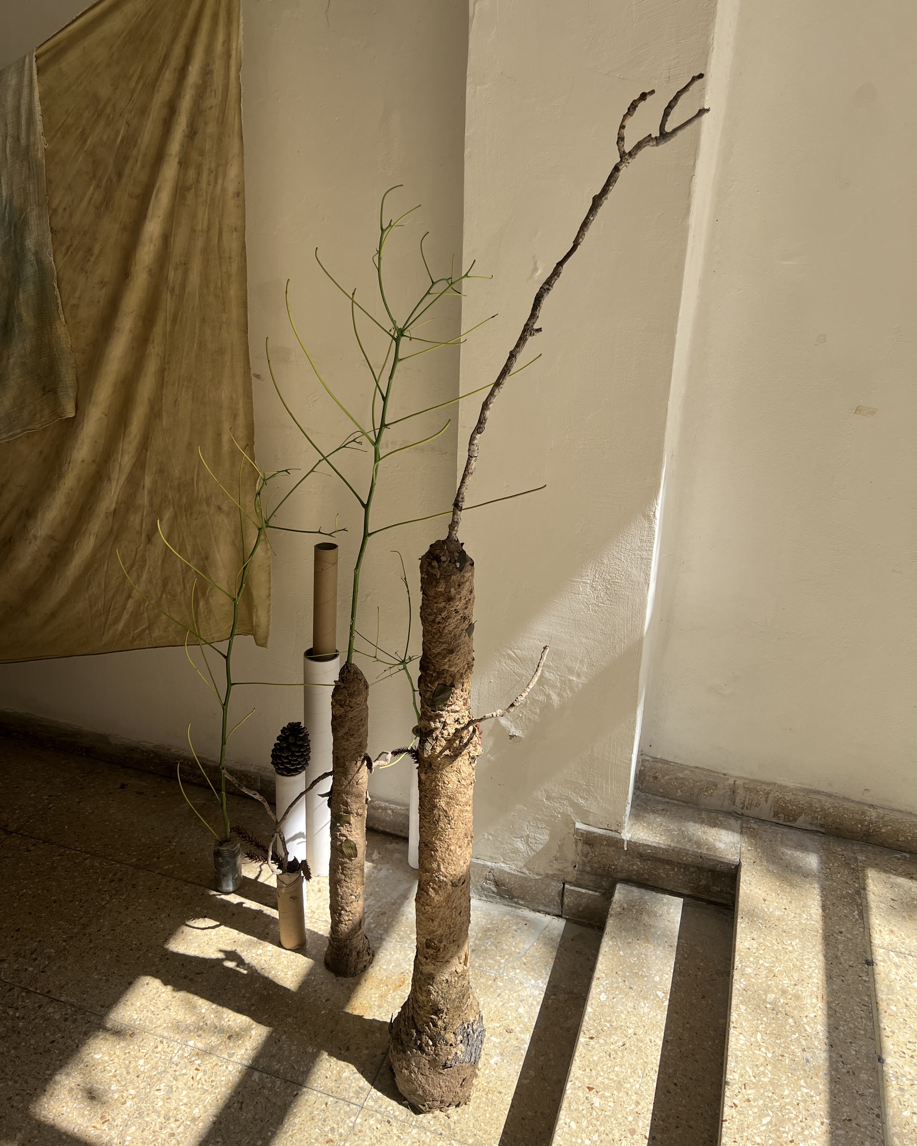 Open Studio — View 1 — Jay Lee
