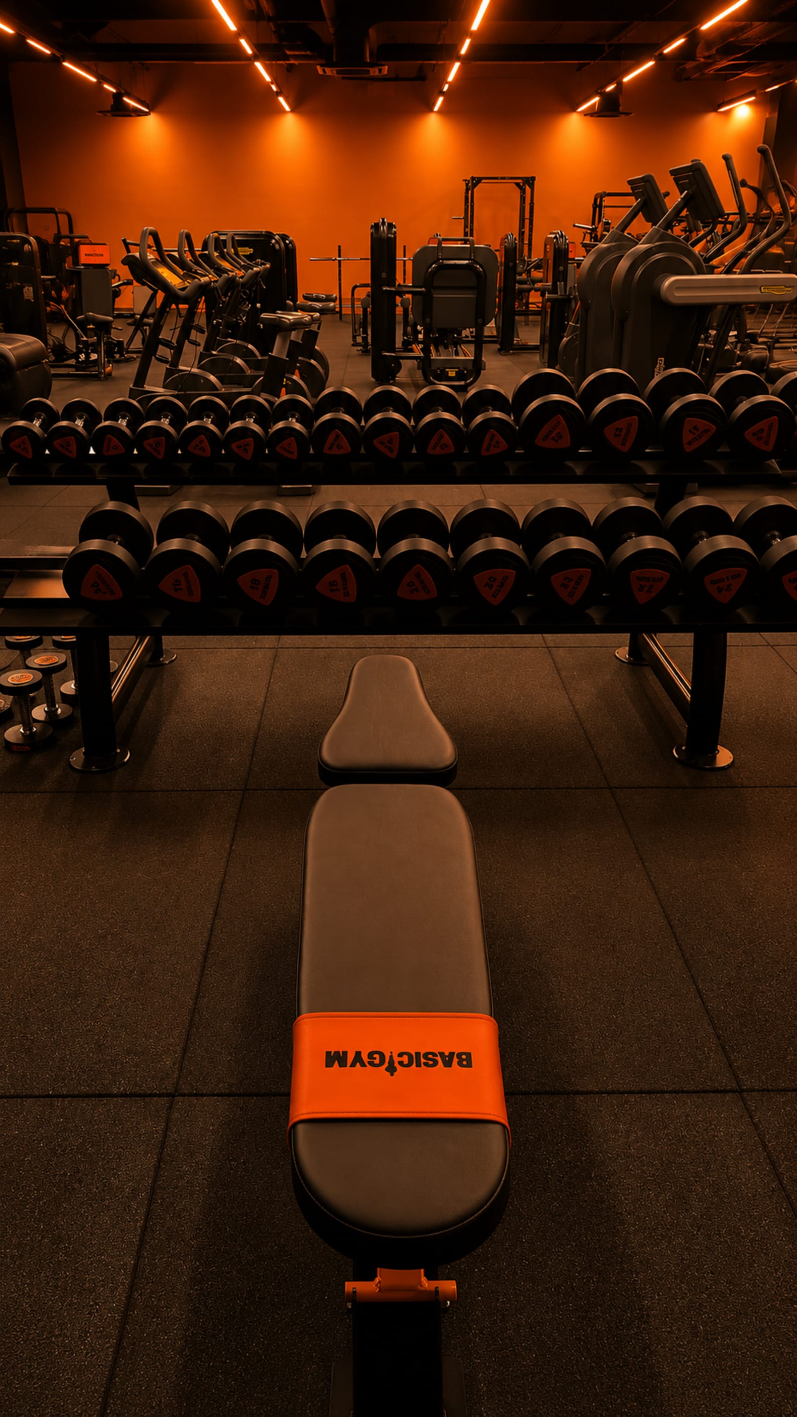 BasicGym free weights