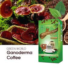 Ganoderma Coffee