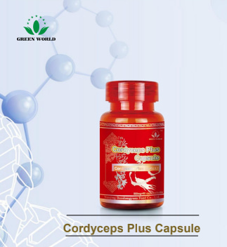 Cordyceps Plus Capsule