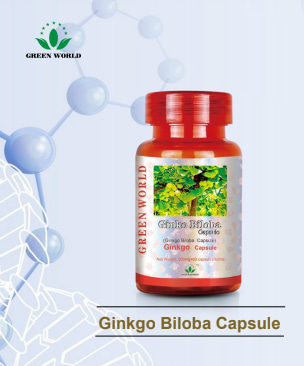 Ginkgo Biloba Capsule
