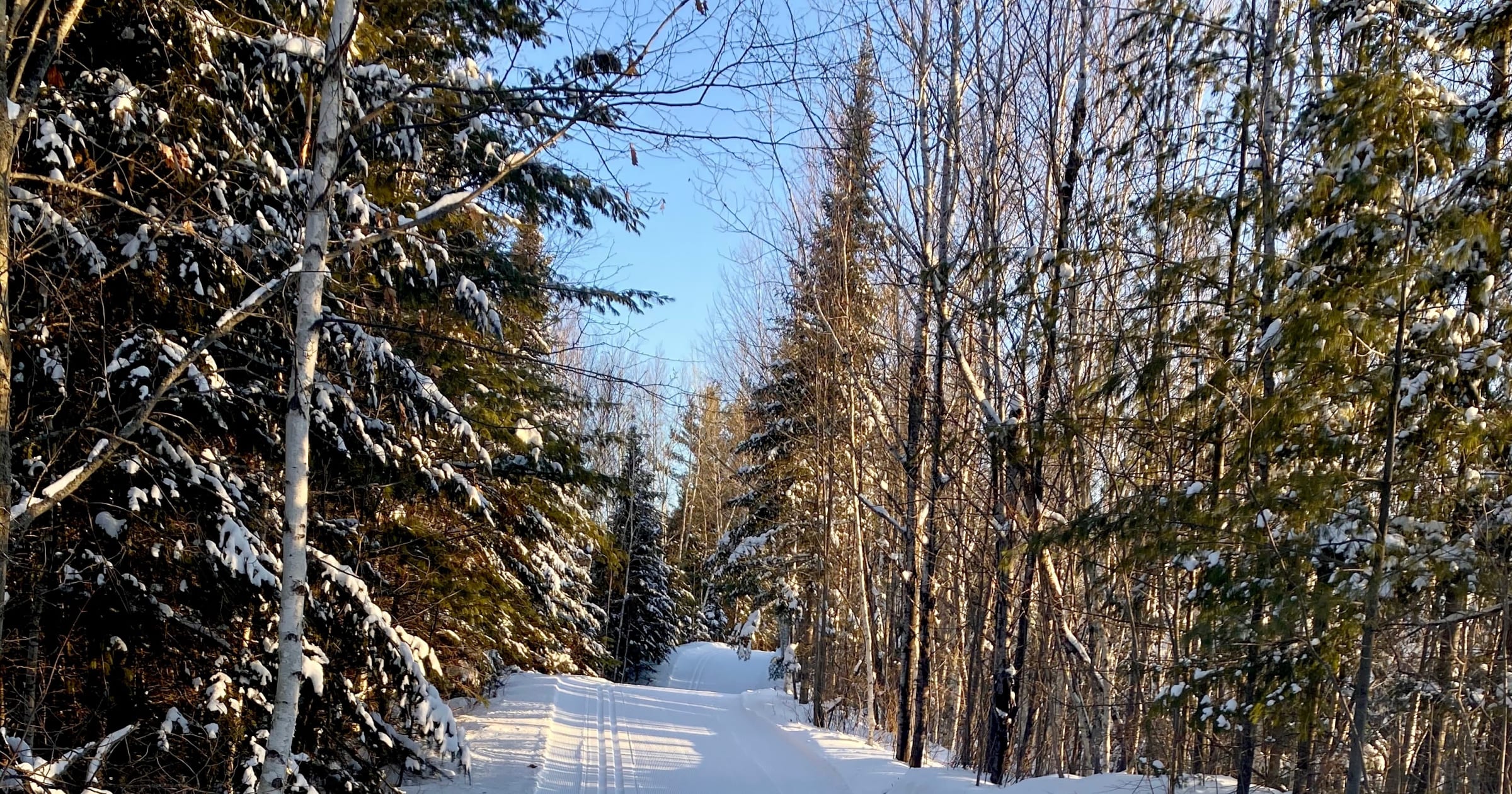 Windy Ridge :: Minocqua Winter Park