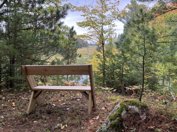 A memorial bench overlooking a forest and wetland.
