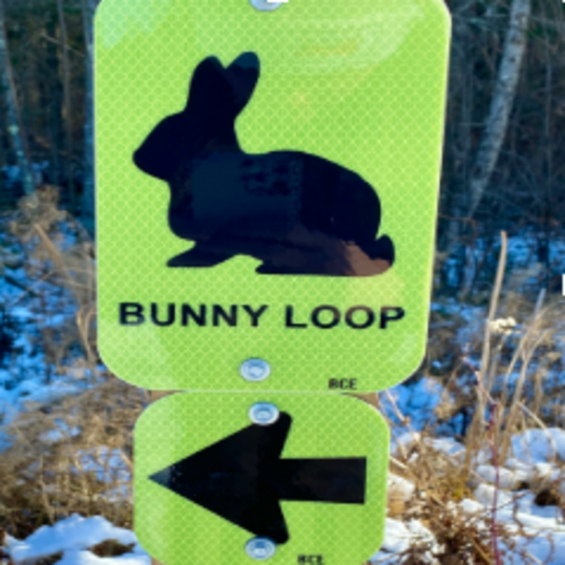 Bunny Loop