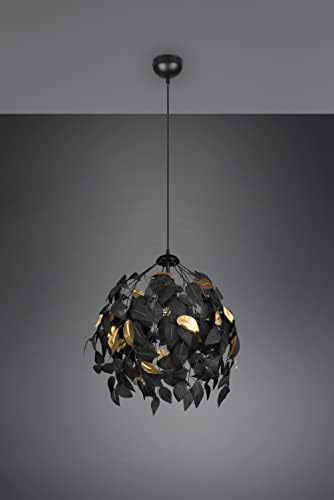 Vue 3 de Reality Lustre Leavy Xe