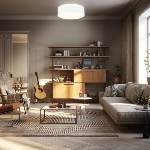 Vue 5 de Bklicht Plafonnier Avec Abatjour